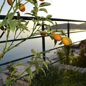 Vendégház Panorma